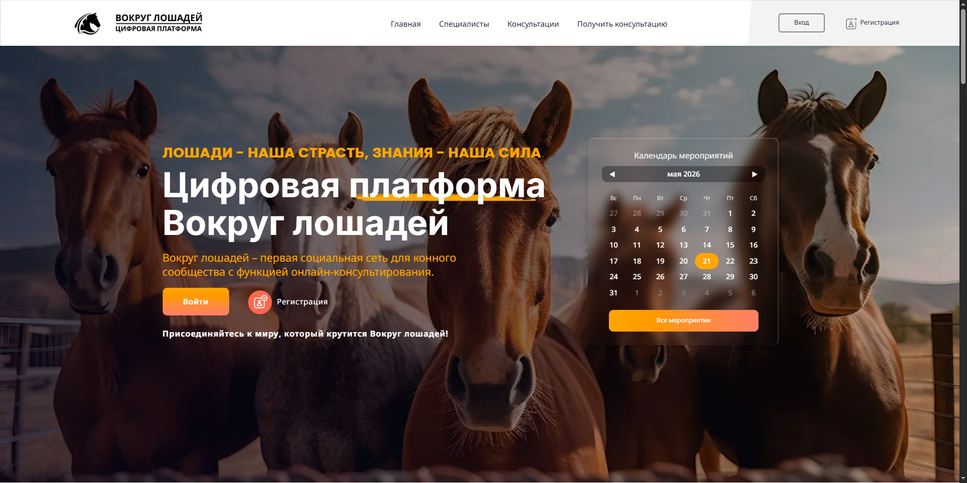 Вокруг Лошадей